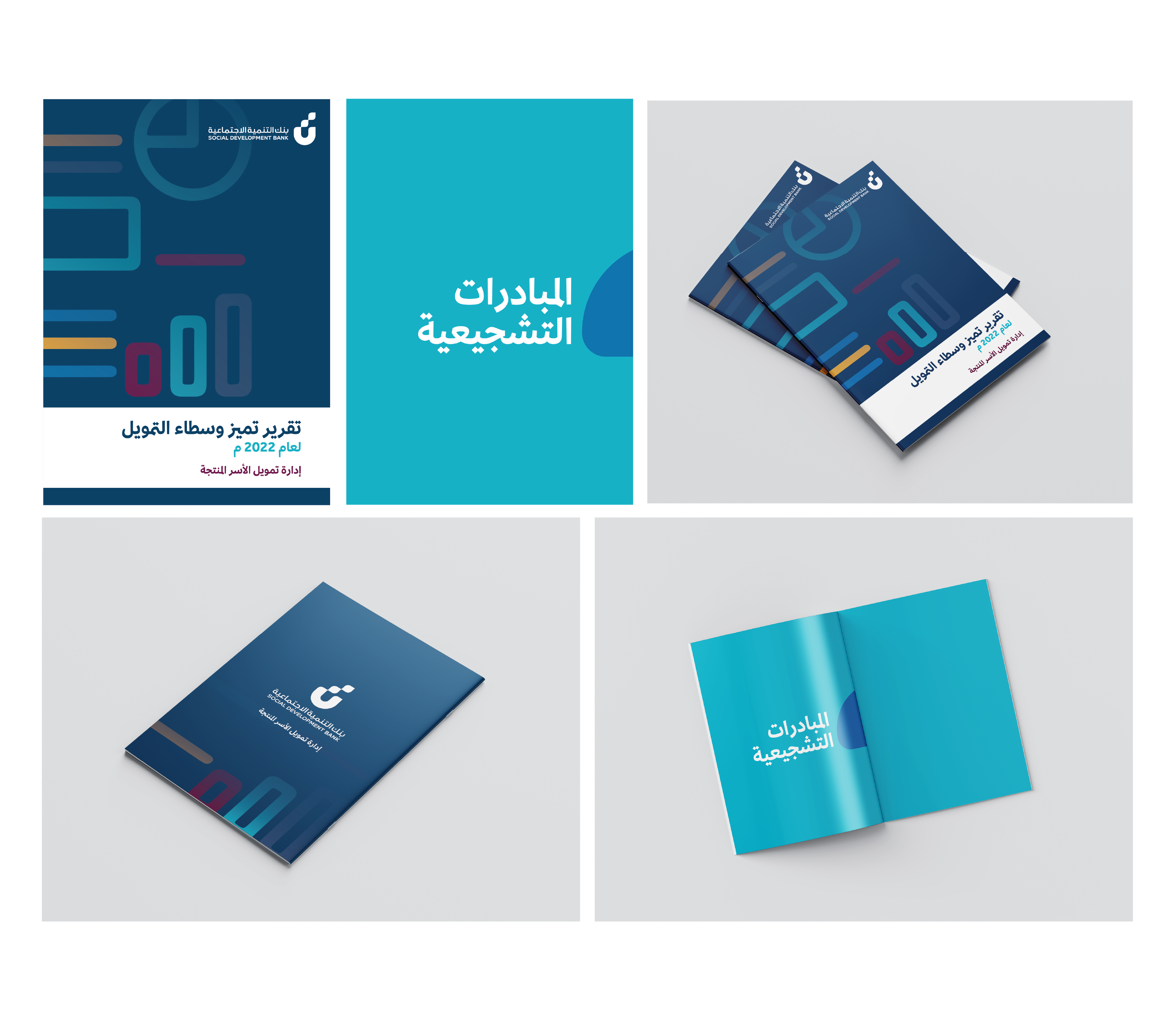 بنك التنمية الاجتماعية - 04